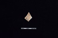 陶片藏品圖，第2張